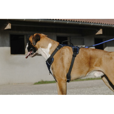 Harnais pour chien Riding World Simba Harnais pour chien Riding World Simba