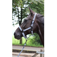 Longe d'attache Lami-Cell Midnight Bleu ardoise