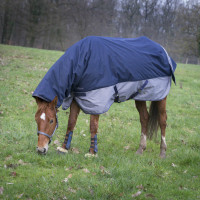 Couverture Equi-theme Tyrex 600D Combo 350g