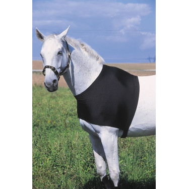 Protection d'épaules Equithème Protection d'épaules Equithème