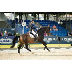 Pantalon Pikeur Laure full grip femme Blanc