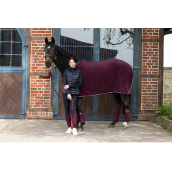 Bandes de polo Eskadron Mûre Bordeaux