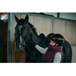 Casque d'équitation Abus Airluxe Chrome L.V Noir brillant