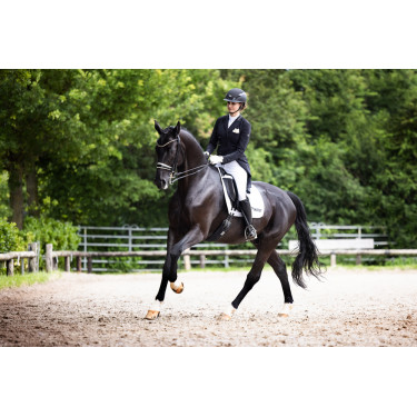 Casque d'équitation Abus Airluxe Supreme Noir