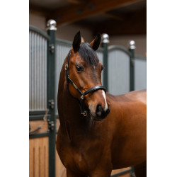 Licol en cuir Eskadron Elegance Noir Licol en cuir Eskadron Elegance Noir