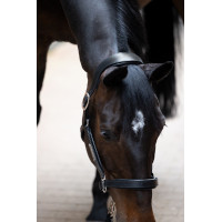 Licol en cuir Eskadron Stallion Noir Licol en cuir Eskadron Stallion Noir