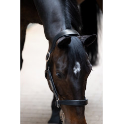 Licol en cuir Eskadron Stallion Noir Licol en cuir Eskadron Stallion Noir