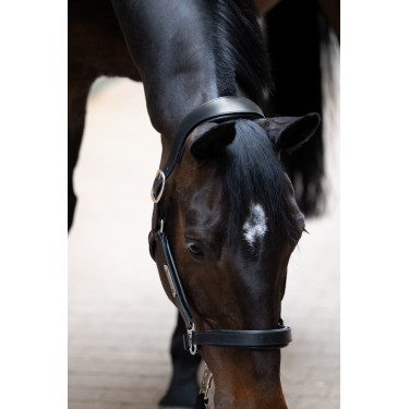 Licol en cuir Eskadron Stallion Licol en cuir Eskadron Stallion