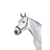 Licol Eskadron boucle Anthracite / blanc / noir