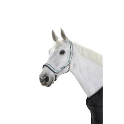 Licol Eskadron boucle