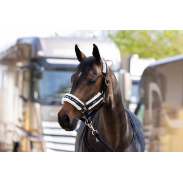 Licol Eskadron fausse fourrure Double pin Noir