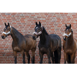 Licol Eskadron fausse fourrure Double pin Bleu cendré