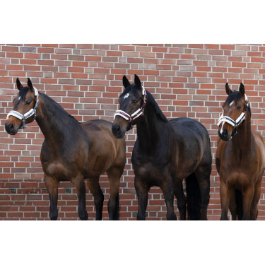 Licol Eskadron fausse fourrure Double pin Bleu cendré