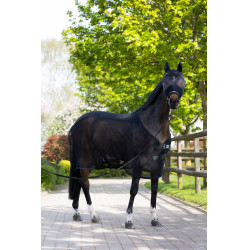 Licol et masque anti-mouches Eskadron Noir