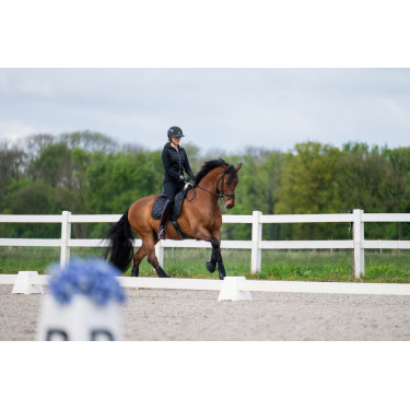 Pantalon Pikeur femme New Lugana faux fond de peau 0908 taille mi haute Noir