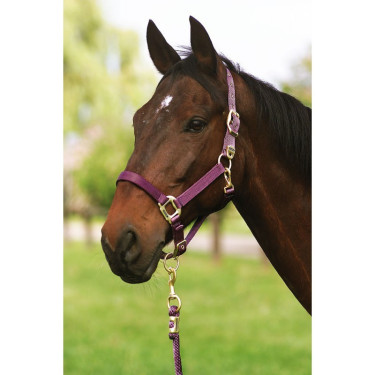 Licol Equithème Nylon Licol Equithème Nylon