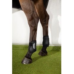 Protège-boulets Eskadron Compact postérieurs Noir Protège-boulets Eskadron Compact postérieurs Noir
