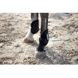 Protège-boulets Eskadron Compact postérieurs Noir Protège-boulets Eskadron Compact postérieurs Noir