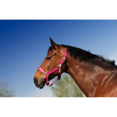 Licol Equithème Nylon Licol Equithème Nylon