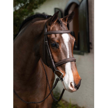 Bridon Hunter avec lacets LeMieux Bridon Hunter avec lacets LeMieux