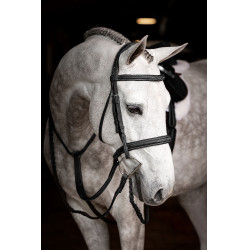Bridon Hunter avec lacets LeMieux Noir / argent