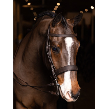 Bridon plat Hunter LeMieux avec rênes à lacets Bridon plat Hunter LeMieux avec rênes à lacets