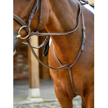 Martingale fixe Hunter LeMieux Martingale fixe Hunter LeMieux