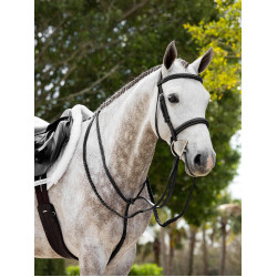 Martingale fixe Hunter LeMieux Noir / argent