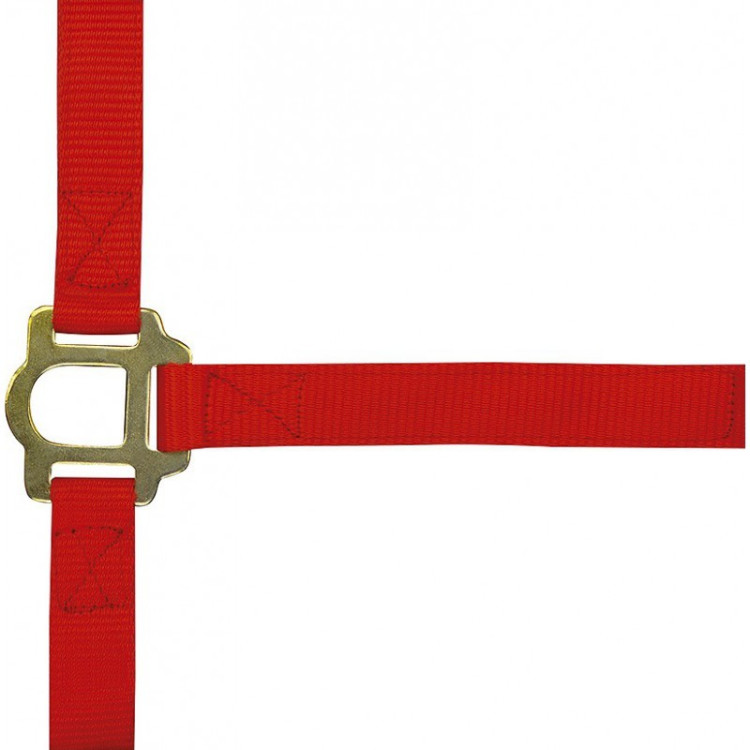 Licol nylon double épaisseur avec fermetures à boucles Norton Licol nylon double épaisseur avec fermetures à boucles Norton