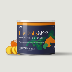 Herballs N° 2 Curcuma & Gingembre Hilton Herbs