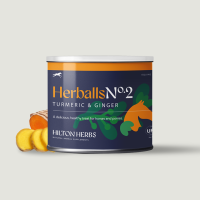 Herballs N° 2 Curcuma & Gingembre Hilton Herbs Herballs N° 2 Curcuma & Gingembre Hilton Herbs