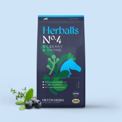 Herballs N° 4 Myrtille & Thym Hilton Herbs