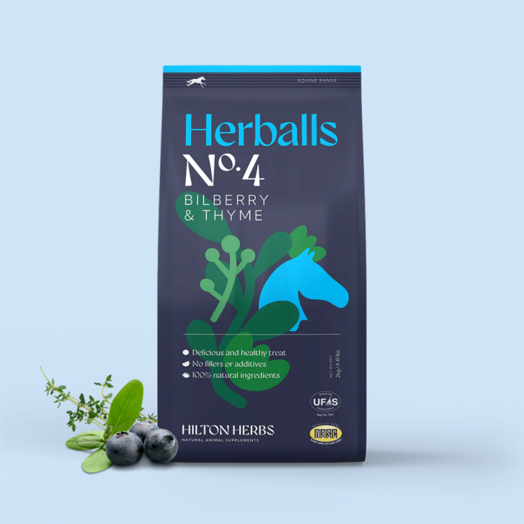 Herballs N° 4 Myrtille & Thym Hilton Herbs