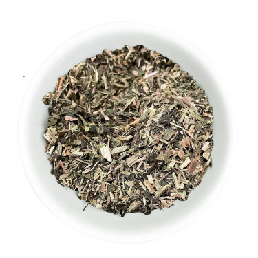 Ortie Plante Hilton Herbs Ortie Plante Hilton Herbs
