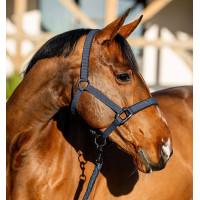 Licol et longe Amigo Horseware Marine