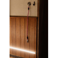 Longe d'attache silicone Kentucky Rose