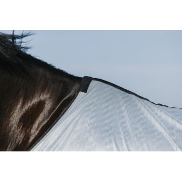 Chemise Riding World Belly Mesh Chemise Riding World Belly Mesh