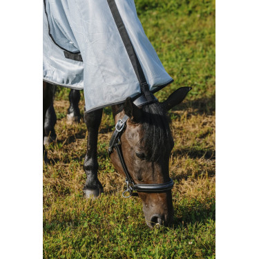 Chemise Riding World Belly Mesh Combo Chemise Riding World Belly Mesh Combo