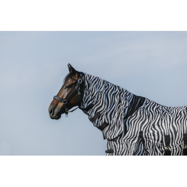 Chemise Riding World Belly Mesh Combo Chemise Riding World Belly Mesh Combo