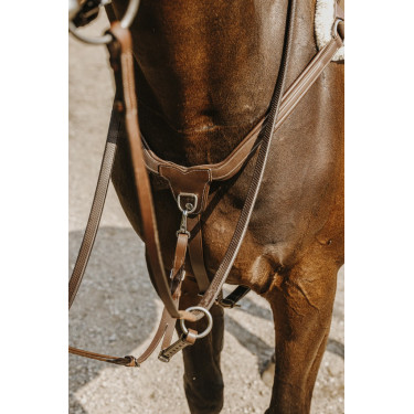 Collier de chasse Norton 5 points Collier de chasse Norton 5 points