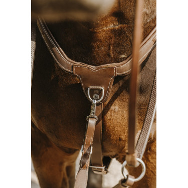 Collier de chasse Norton 5 points Collier de chasse Norton 5 points
