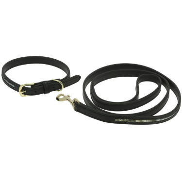 Collier et laisse pour chien Equithème Max Collier et laisse pour chien Equithème Max