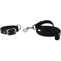 Collier et laisse pour chien Riding World Oscar