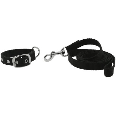 Collier et laisse pour chien Riding World Oscar Collier et laisse pour chien Riding World Oscar