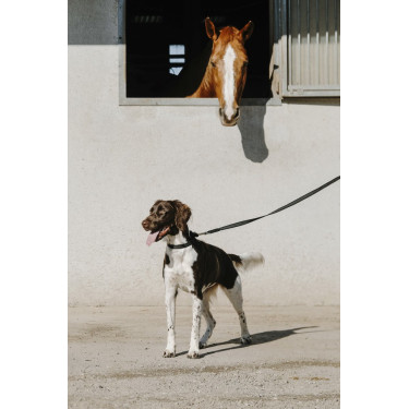 Collier pour chien Equithème Nala Collier pour chien Equithème Nala