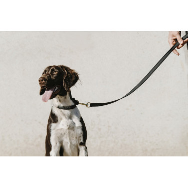 Collier pour chien Equithème Nala Collier pour chien Equithème Nala
