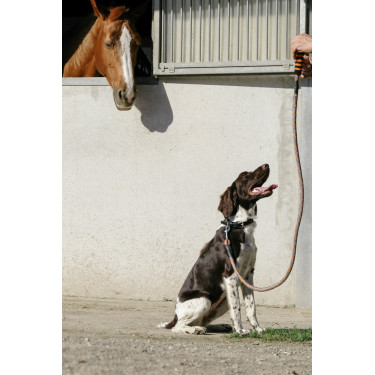Laisse pour chien avec poignée Equithème Haspen Laisse pour chien avec poignée Equithème Haspen