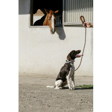 Laisse pour chien avec poignée Equithème Haspen Laisse pour chien avec poignée Equithème Haspen