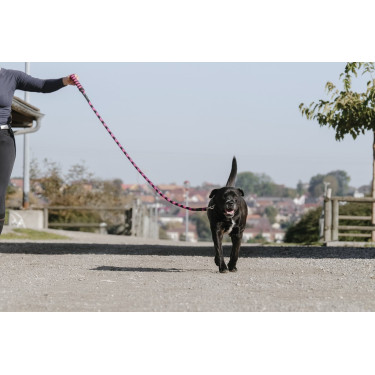 Laisse pour chien avec poignée Equithème Haspen Laisse pour chien avec poignée Equithème Haspen
