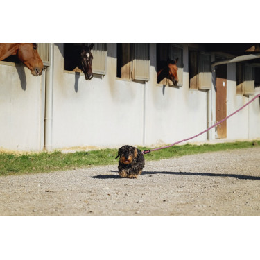 Laisse pour chien avec poignée Riding World Lucky Laisse pour chien avec poignée Riding World Lucky